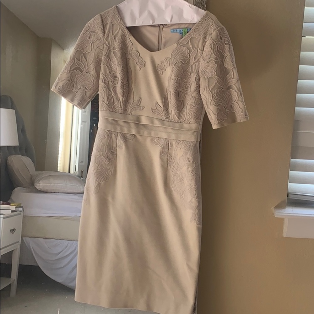 Antonio Melani Dress
